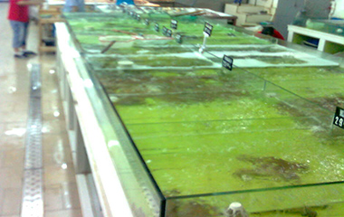 玻璃海鲜池